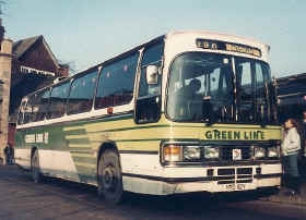 green-line-290.JPG (39599 bytes)